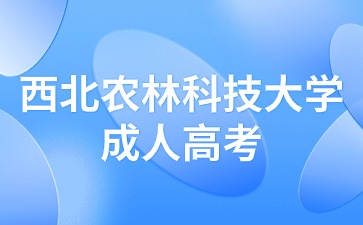 西北农林科技大学成人高考学历能考编吗？